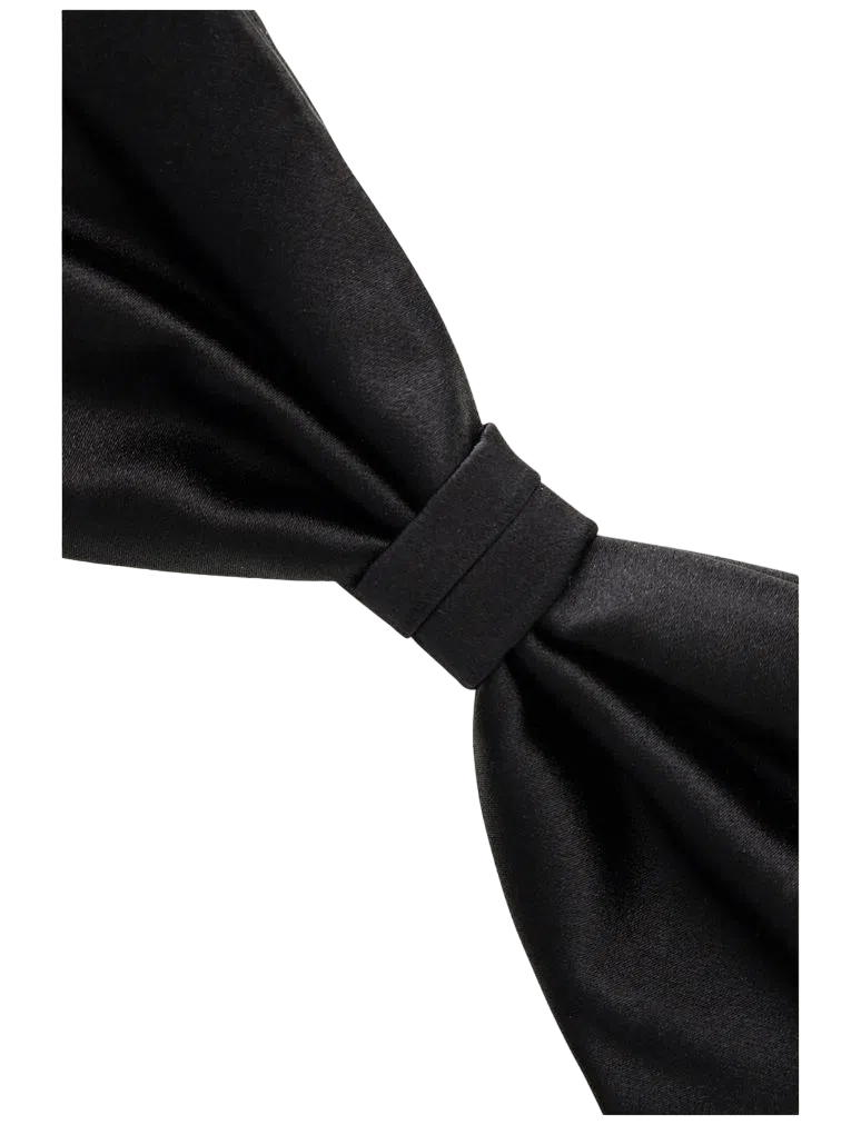 Canali Black Silk Formal Bow Tie