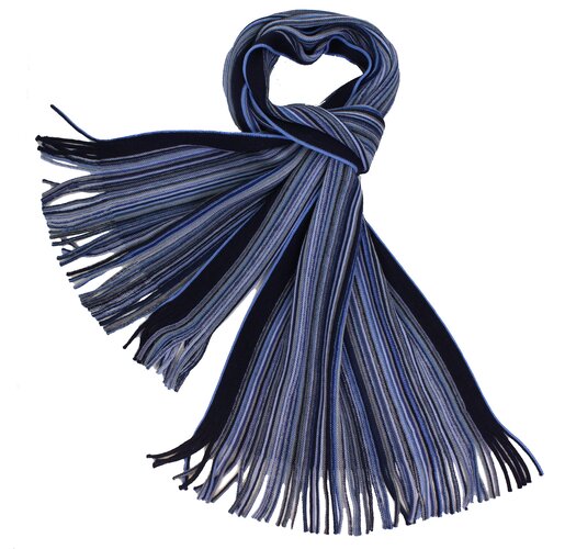 Colorful Pencil Stripe Wool Knit Scarf with Fringe In Denim/Multi